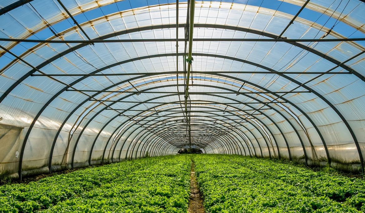 Avicanna Announces Filing of Preliminary Prospectus